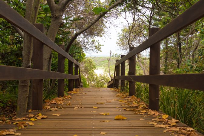 Brown wooden bridge covered with tree leaves