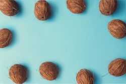 Coconut fruit pattern bordering a pastel blue background