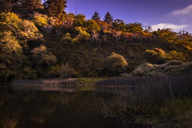 Patrick’s Point pond in Northern California