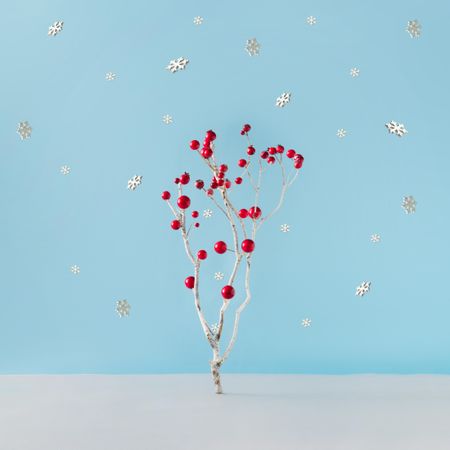 Christmas tree made of winter snowy branch and red decorations on blue background with snowflakes