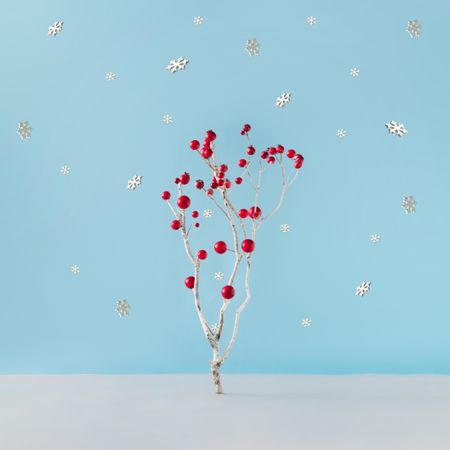 Christmas tree made of winter snowy branch and red decorations on blue background with snowflakes