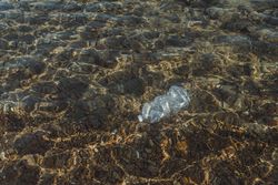 Plastic bottle lying on seashore