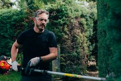 Man pruning arizonica hedge