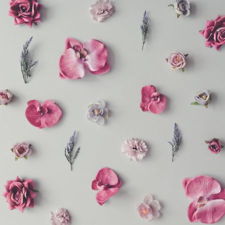 Pink and violet flowers on marble background