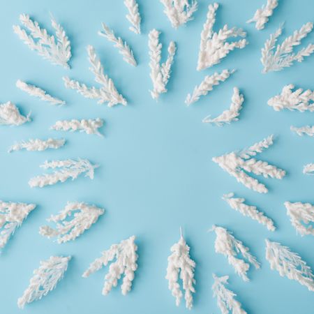 Snowy Christmas tree branches on pastel blue background