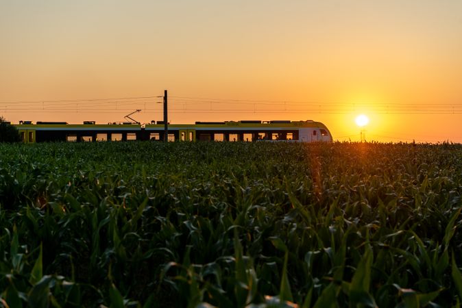 Passengers train traveling at sunrise through agricultural fields in Germany