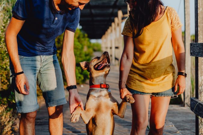 Playful adult couple walking with dog at countryside
