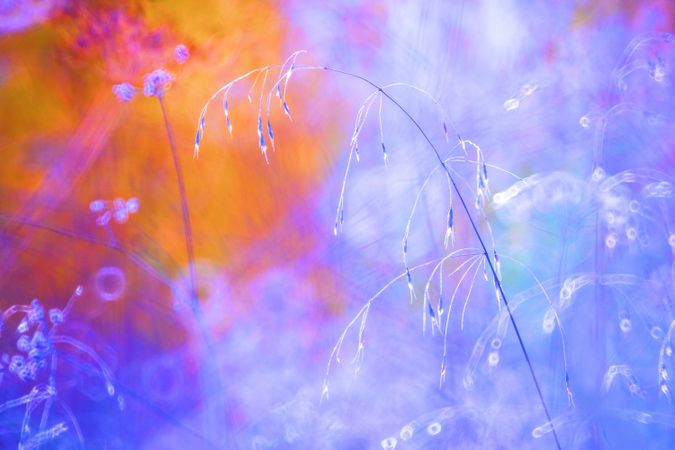Tender dry leaves in blue light effect