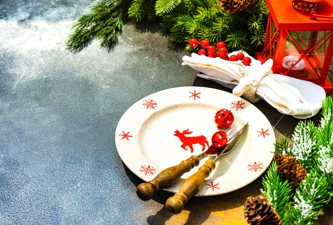Red Christmas plate with snowflakes and reindeer