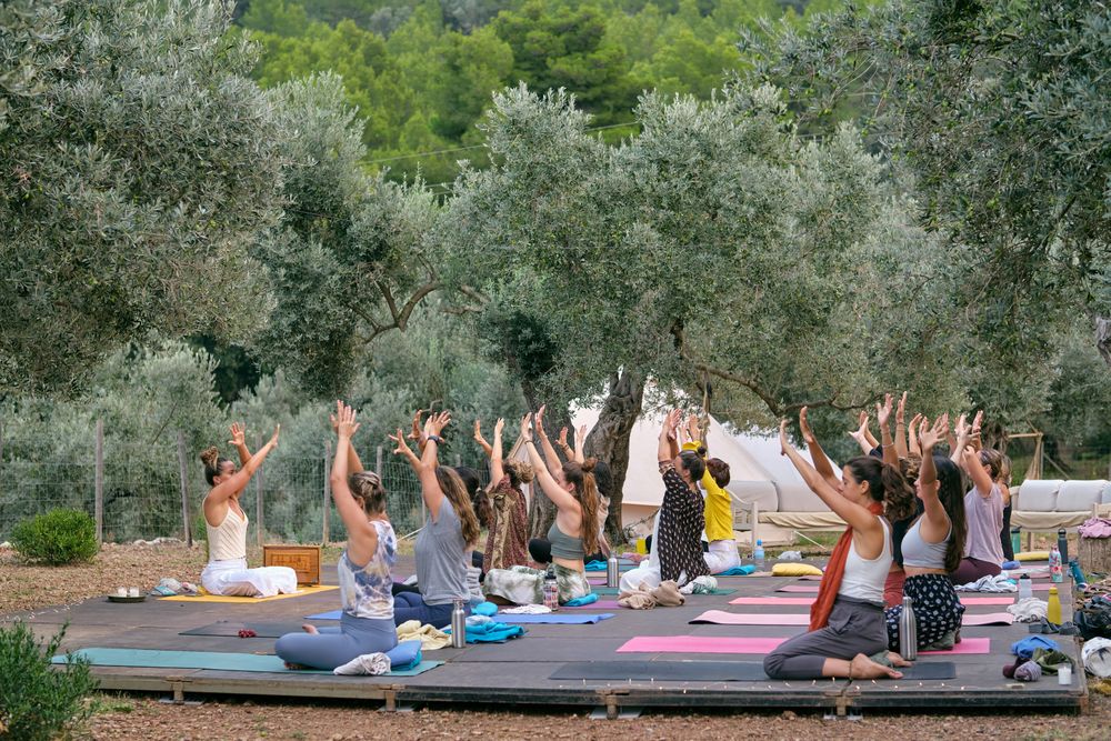Group or women practicing yoga with raised arms in campsite