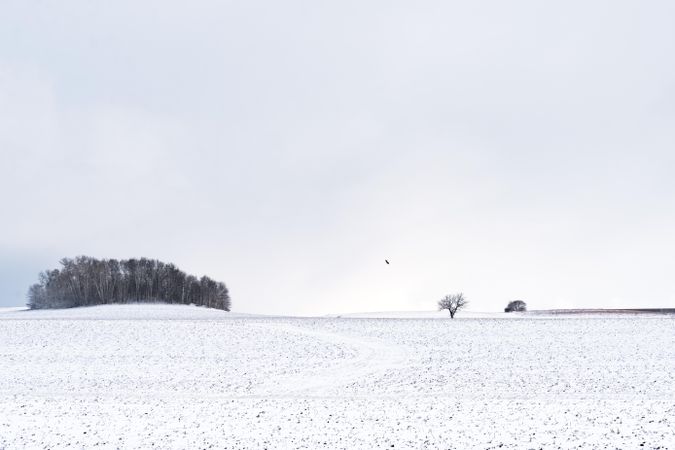 Snow covered field on an overcast winter day