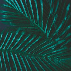 Layout made of tropical flowers and leaves