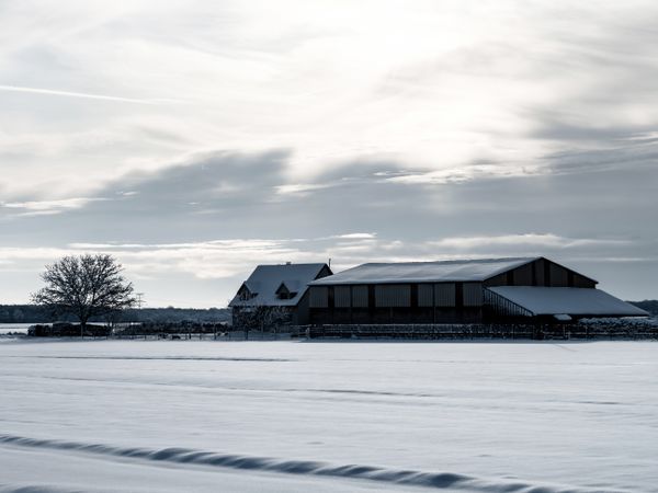 Winter's Tale. Snow-covered clean light landscape of Alsace.