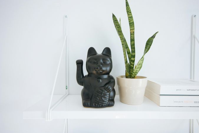 Maneki Neko Cat Figurine and Houseplant on Shelf