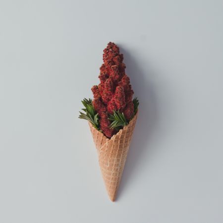 Ice cream cone with red flowers and leaves