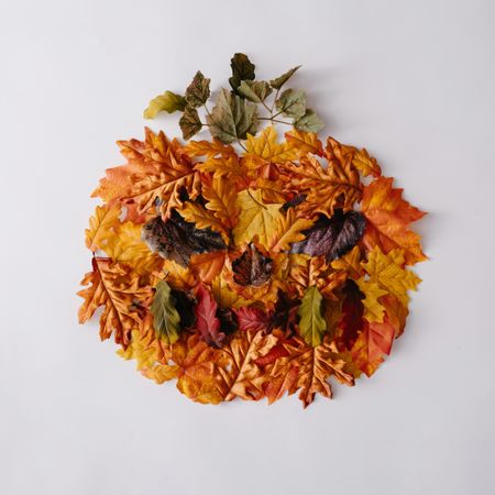 Autumnal leaves in shape of  Jack-o'-lantern on light background