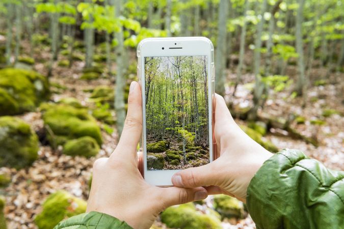 Crop traveler taking photo of forest on smartphone