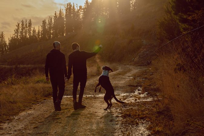 Men holding hands and walking with dog on road