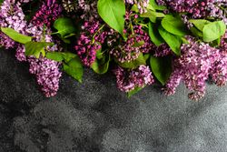 Spring floral card concept with lilac flowers framing concrete counter