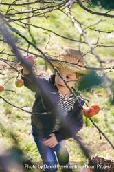 Happy boy with hat picking apples from tree 5XrXro
