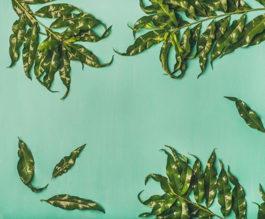 Spring or summer layout concept on green background