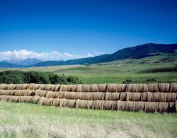 Hay on a farm in eastern Montana