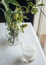 Glass of almond milk on kitchen table