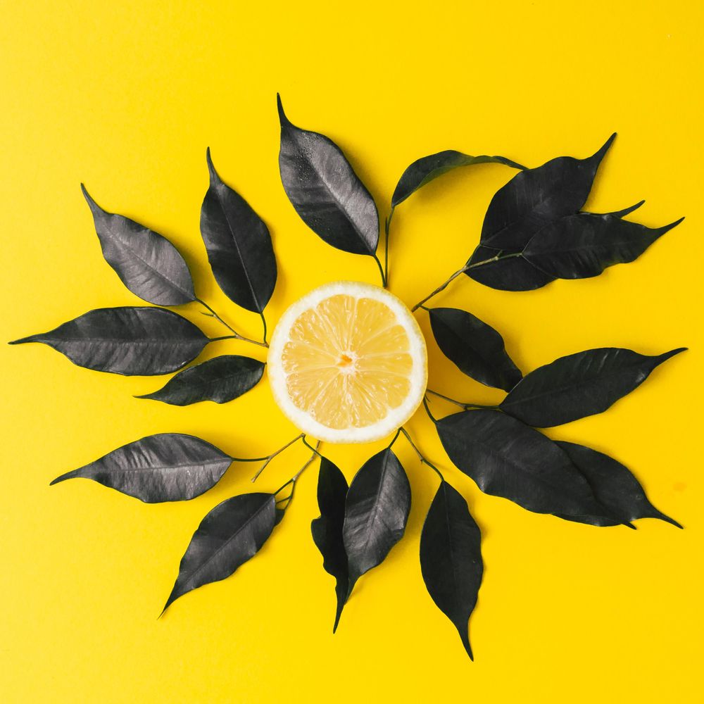 Lemon and dark  leaves on yellow background