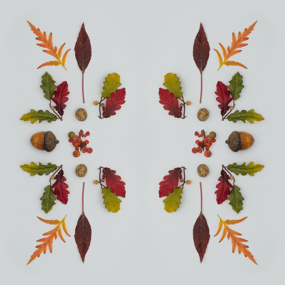 Symmetrical lay out of autumnal leaves on light background