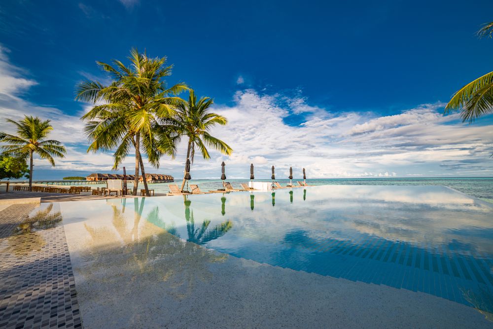 Pool with palm trees and lounge chair