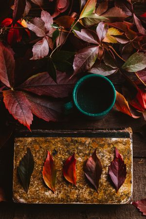 Autumn leaves on old book with cup on wooden surface