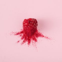 Single raspberry with red dust on pink background