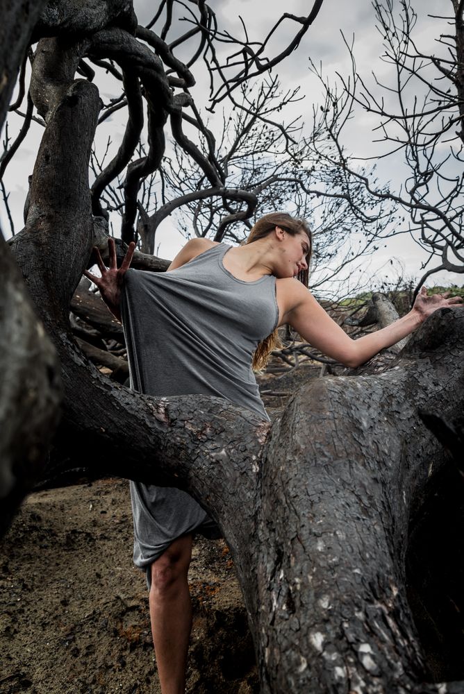 Woman posing on twigs of dry trees