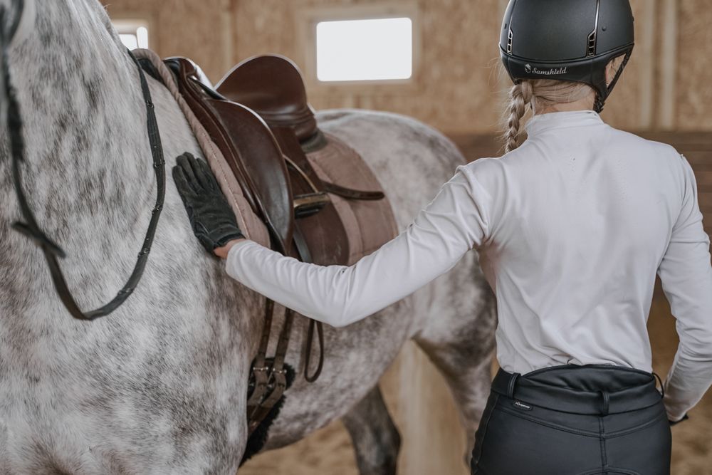Rider with dapple gray horse in round arena