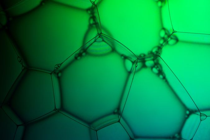 Abstract background bio technology, macro photography foam and water with gradient background. Molecule multicolor backgorund