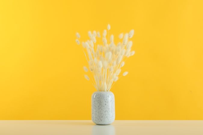 Speckled vase filled with dried bunny tail flowers in yellow room