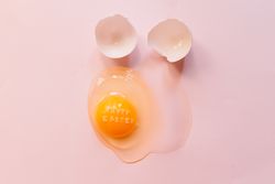 Fresh broken chicken egg with eggshell