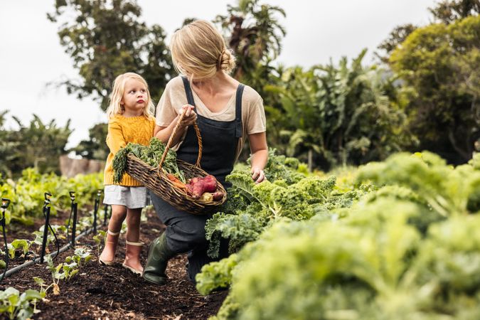 Cheerful mother smiling at her daughter while picking fresh kale in a garden