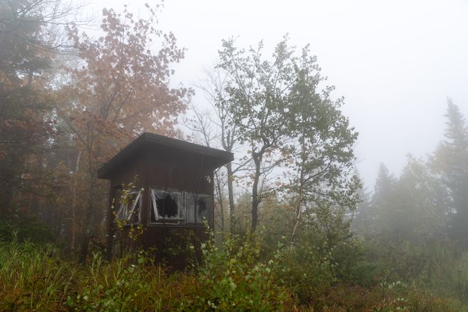 Foggy hut in the forest