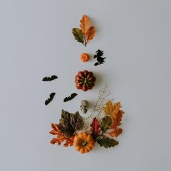 Autumn fruits, leaves and bats and skull on light background