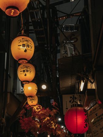 Orange and yellow lit Chinese lanterns in street at night
