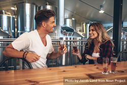 Young couple toasting with beer sample glasses at brewery 5qrpE4