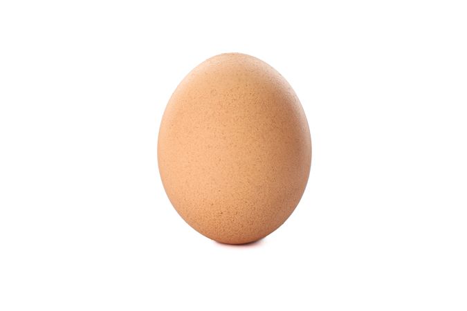 Brown chicken egg isolated on plain background