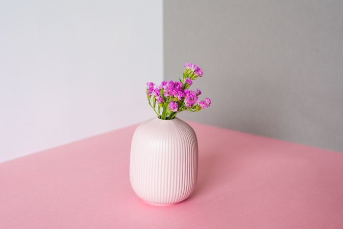 Pink sea lavender flowers in a multicolor background