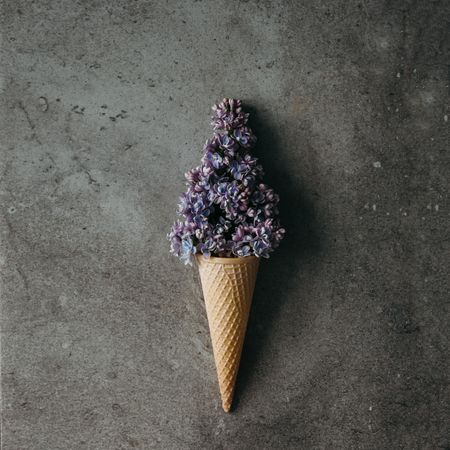 Ice cream cone with purple lilac on wooden background