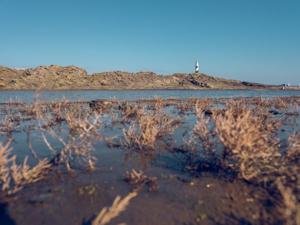 Lighthouse on rocky coast and dry grass on sandy shore