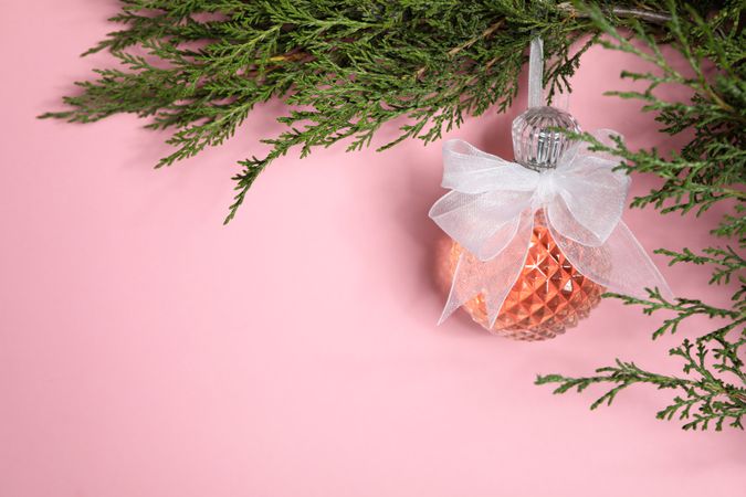 Concept of cosmetics, winter cosmetics, space for text