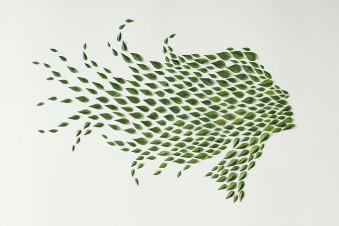 Woman silhouette made of green leaves