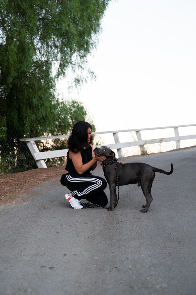 Woman bending down to pet her dog in the street while on a walk