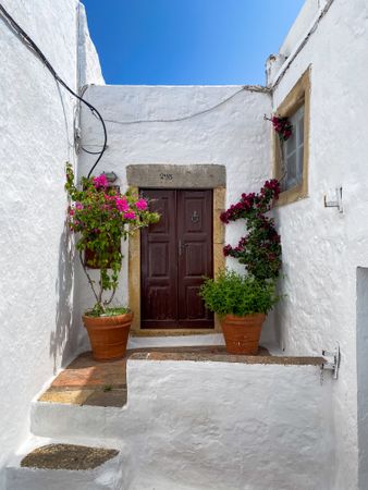 Patmian door with two potted red Bougainvilleas